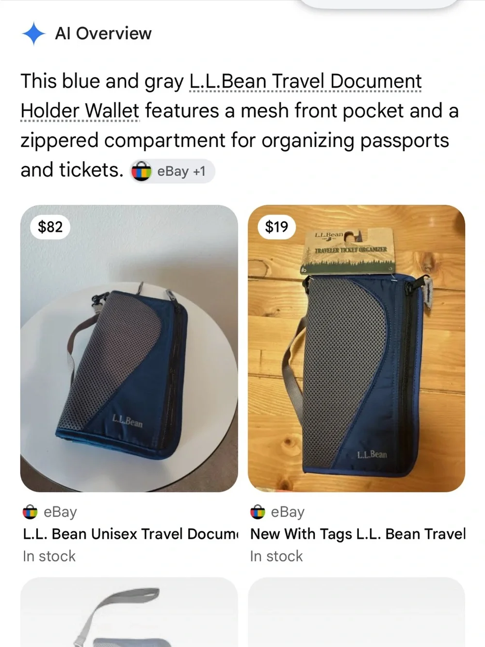 L.L. Bean Men’s Navy and Gray Travel Organizer